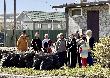 Сотрудники Примтеплоэнерго продолжают активно участвовать в субботниках